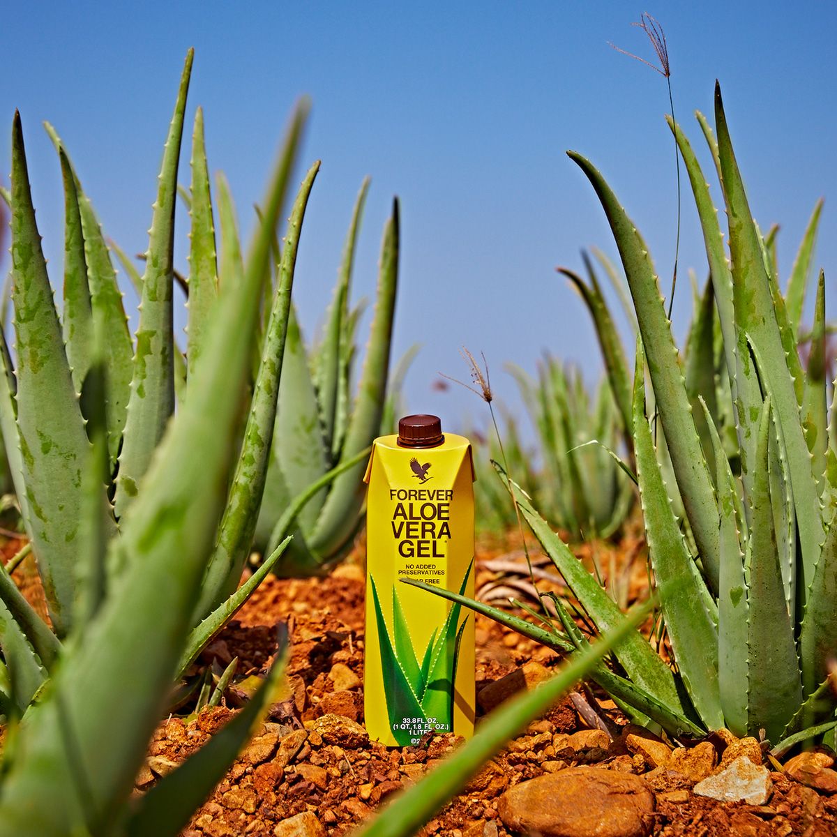 Forever Aloe Vera Gel - imagine 3