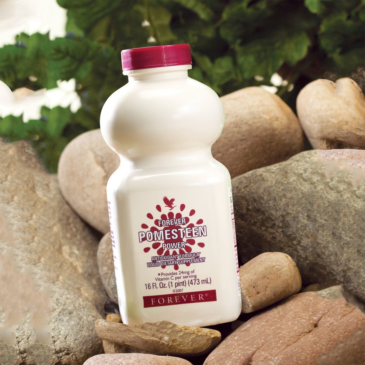 Forever Pomesteen Power - imagine 4