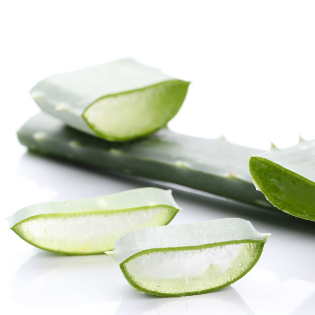 aloe vera