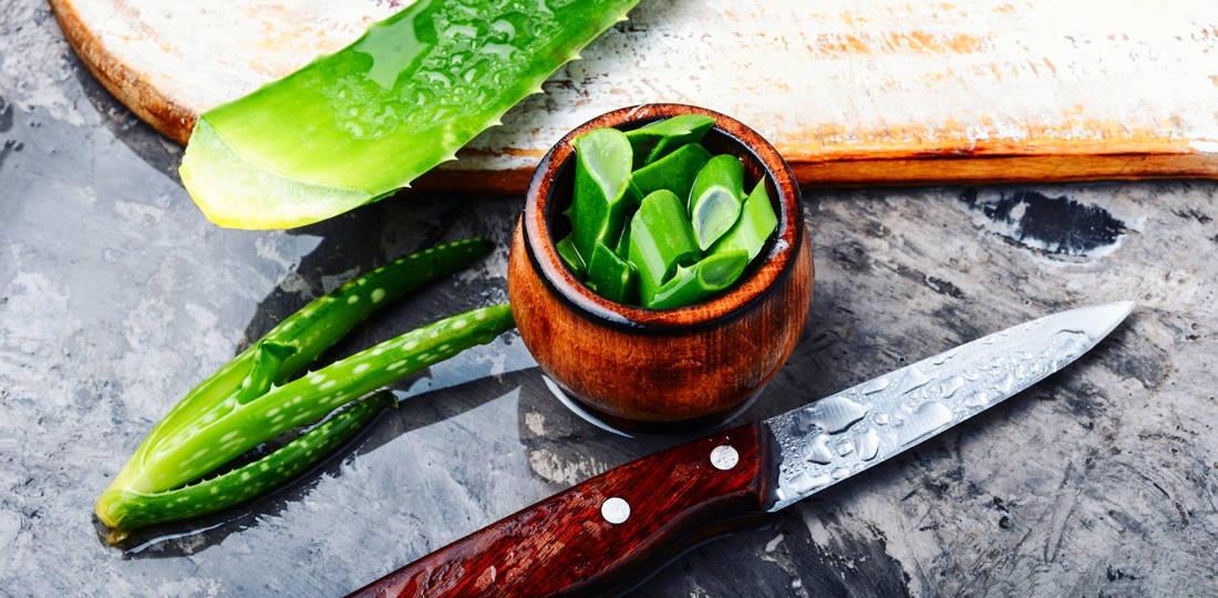 aloe vera with in istorie