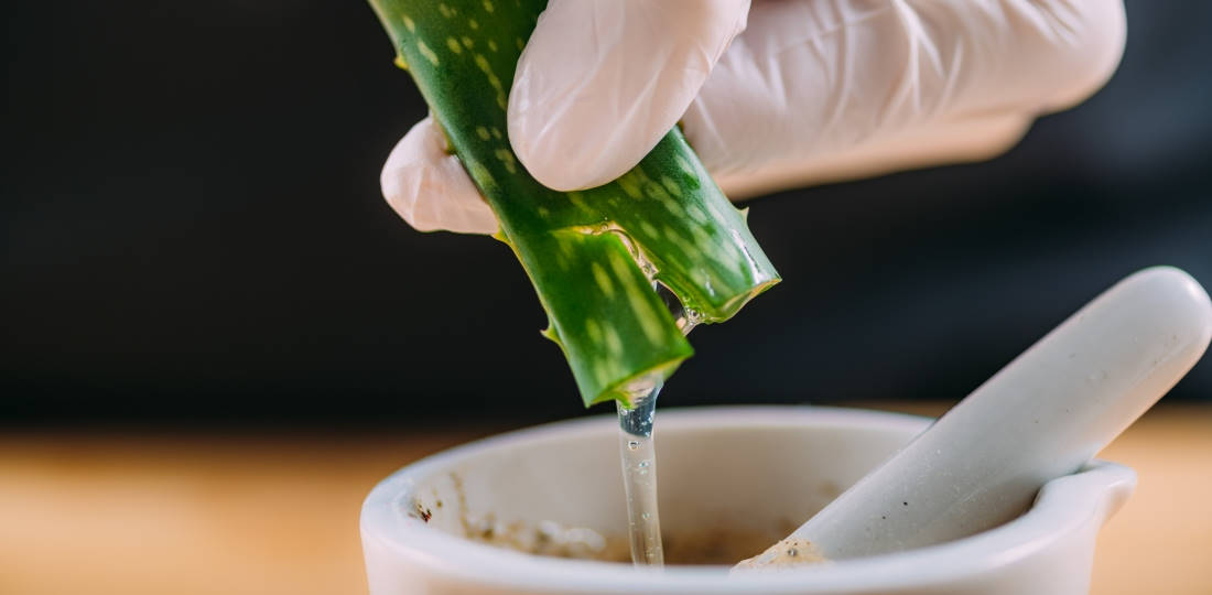 aloe vera aplicatii in viata de zi cu zi